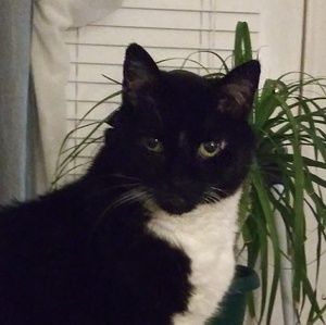 Meet your Posher, Kathy